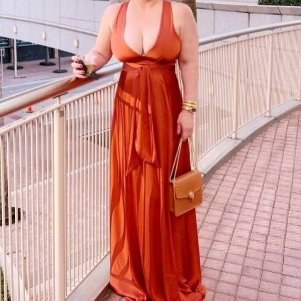 BCBGMaxAzria Terracotta Long Sleeve Dress